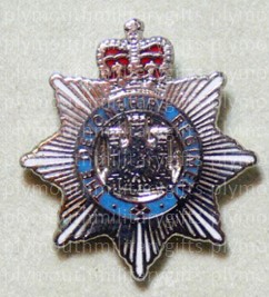 Devonshire Regiment Lapel Pin