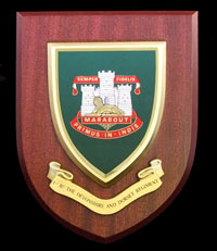 Devon & Dorsets Wall Shield