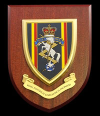 REME Wall Shield