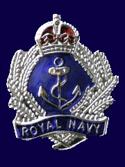 RN Crown & Laurels Lapel Pin