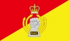 Royal Armoured Corps (RAC) Flag