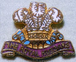 Royal Hussars Lapel Pin
