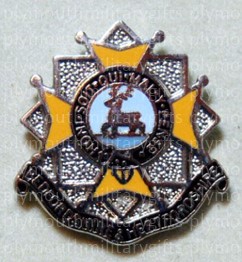 Bedfordshire & Hertfordshire Regiment Lapel Pin