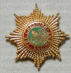 Cheshire Regiment Lapel Pin