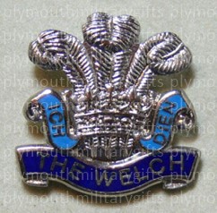 Welch Regiment Lapel Pin