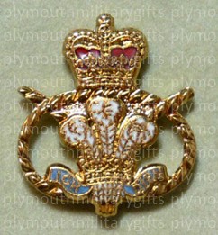 Staffordshire Regiment Lapel Pin