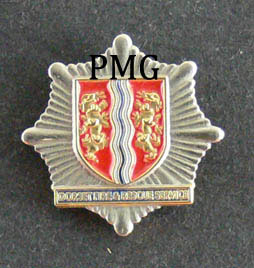 Dorset Fire & Rescue Service Lapel Pin