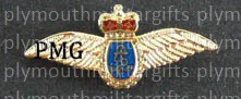 RN Fleet Air Arm (FAA) Lapel Pin